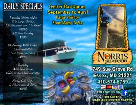 brochure-8 brochure-8